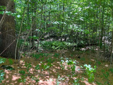 Land1