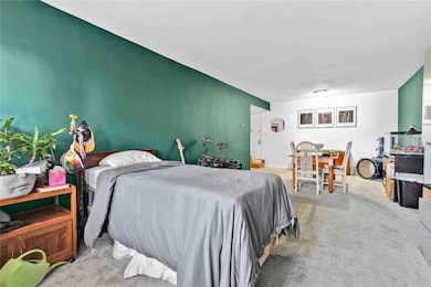 Bedroom featuring carpet flooring
