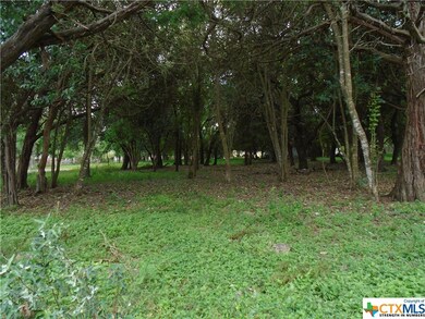 605 Allen St, San Marcos, TX 78666 - photo 3