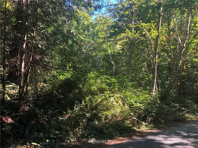 0 163rd Avenue Ct SW, Longbranch, WA 98351 - photo 4