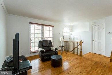 5105 Beauregard St, Alexandria, VA 22312 - photo 4