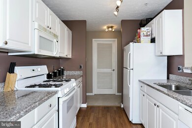 4733 Shellbark Rd, Owings Mills, MD 21117 - photo 6