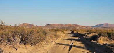 598 Starhaven Ln, Terlingua, TX 79830 - photo 7