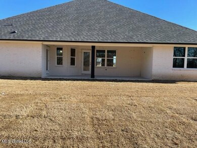 Rear Exterior