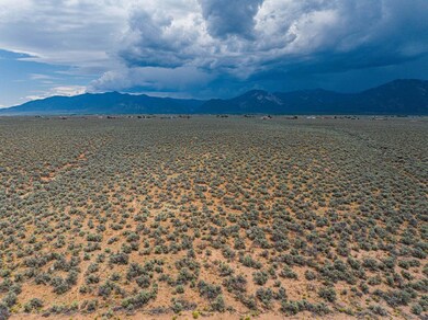 TBD Tract A 11 Off Rabbit Ridge, El Prado, NM 87529 - photo 5