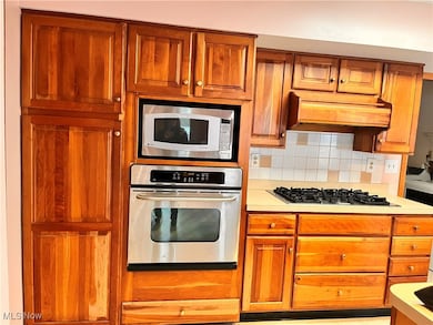 7029 Austinburg Rd, Ashtabula, OH 44004 - photo 4