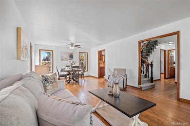 Brand new paint / outlets & covers / gleaming hardwood floors