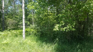 v/L W 17 Mile Rd, Lilley Township, MI 49309 - photo 2