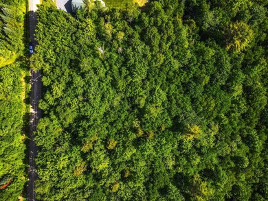 0 Rockwood Rd unit 4916310, Franconia, NH 03580 - photo 2