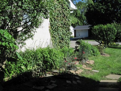 Side Yard