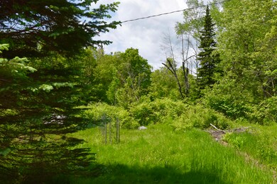 76 Edgerly School Rd, Meredith, NH 03253 - photo 5