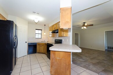12314 Twin Lakes Ln, San Angelo, TX 76904 - photo 5