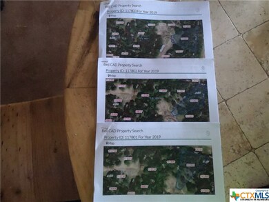 15717 Salado Dr, Temple, TX 76502 - photo 4