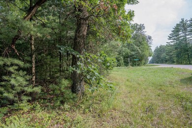 W8878 Cranberry Creek, New Lisbon, WI 53950 - photo 5