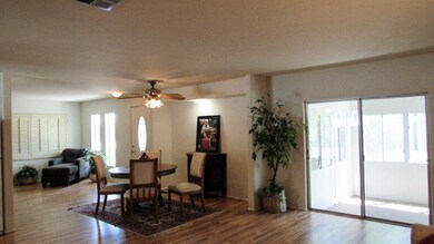 IMG_3997_edited-1