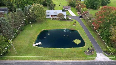 View of bird's eye view
