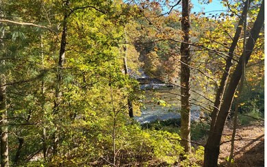 00 Pacer Ct, Ellijay, GA 30540 - photo 4