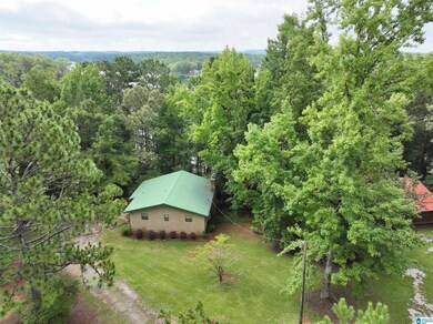 183 Swagg Cove Dr, Wedowee, AL 36278 - photo 2