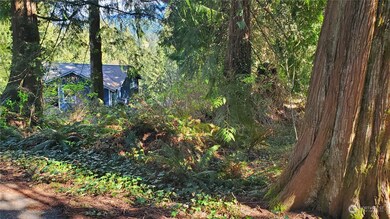 750 West Rd, Sedro Woolley, WA 98284 - photo 4