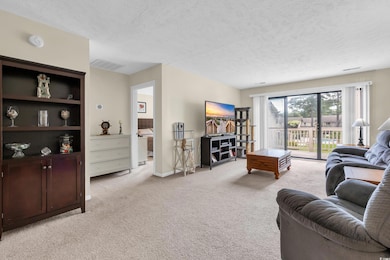 3015 Old Bryan Dr unit 15-5, Myrtle Beach, SC 29577 - photo 6