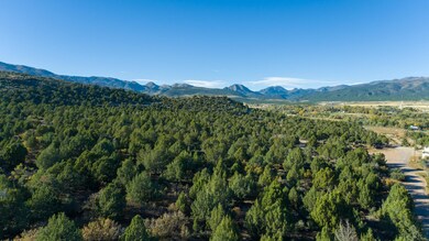 81 AC Rachel Ln, New Harmony, UT 84757 - photo 5