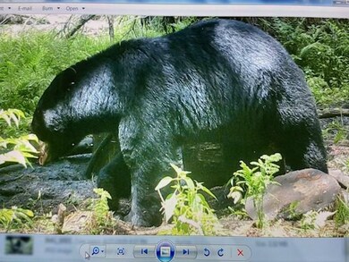 0 County Road Gg unit 50317557, Iola, WI 54945 - photo 4