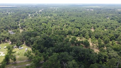 0 Hwy 3n unit 161947, Baconton, GA 31716 - photo 7