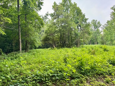 Lark Road 4
