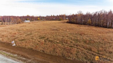 Lot 5 -3