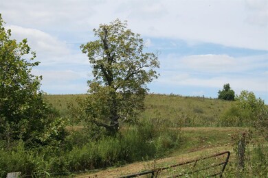 966 Manns Rd, Harrodsburg, KY 40330 - photo 7