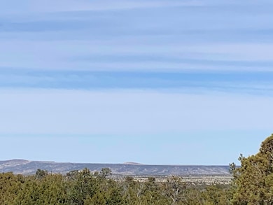 7310 Red Feather Ct, Happy Jack, AZ 86024 - photo 4