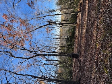 TBD Crooked White Oak Tr, Hillsville, VA 24343 - photo 5