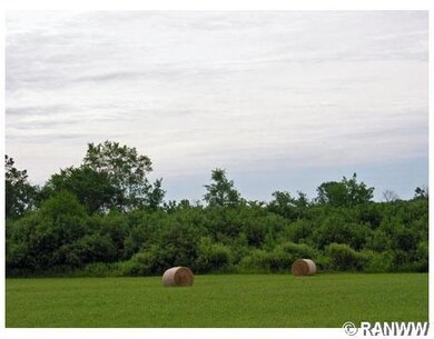 W3010 Town Line Rd, Glen Flora, WI 54526 - photo 6