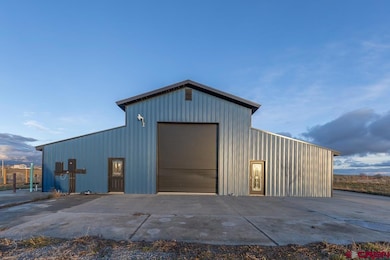 4428 County Road 302, Durango, CO 81303 - photo 3