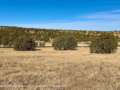 111 Rainmakers Dr, Alto, NM 88312 - photo 5