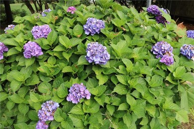 Beautiful landscaping