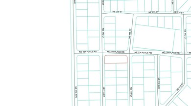 TBD NE 234th Place, Fort McCoy, FL 32134 - photo 4