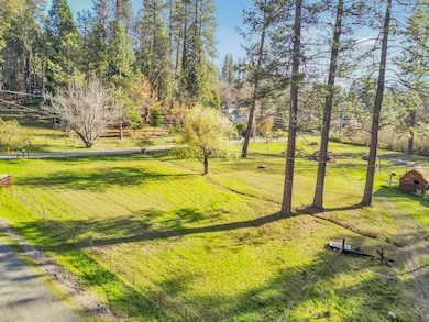 10988 Berggren Ln, Nevada City, CA 95959 - photo 6