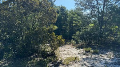 8045 NE 307th Ave, Fort Mc Coy, FL 32134 - photo 4