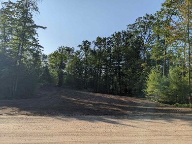 1109 Red Hawk Ct unit Lot 54, Biron, WI 54494 - photo 2