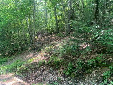 Proposed house is in the center of this picture.  