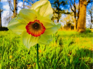 7055 Ridgeway Rd, Sheridan, OR 97378 - photo 6