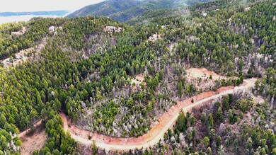 13511 S Firedog Way, Larkspur, CO 80118 - photo 4