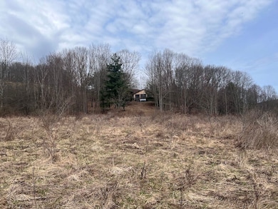 1972 Monegan Rd, Canaseraga, NY 14822 - photo 7