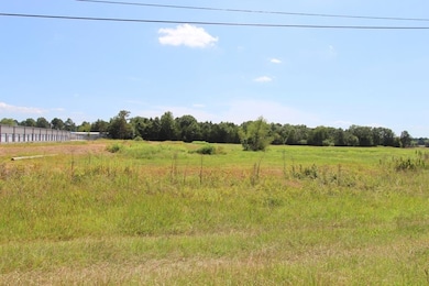 4025 Dave Ward Dr, Conway, AR 72034 - photo 3