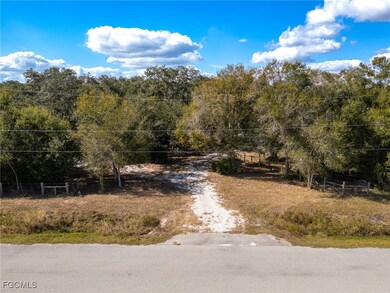 8355 SW Prairie Ave, Arcadia, FL 34269 - photo 5