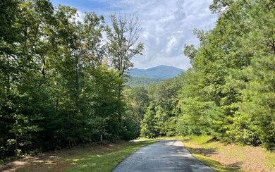 Lot 9 Wolfpen Gap, Hiawassee, GA 30546 - photo 7