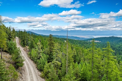 Private mountain road leading through the property with expansive views