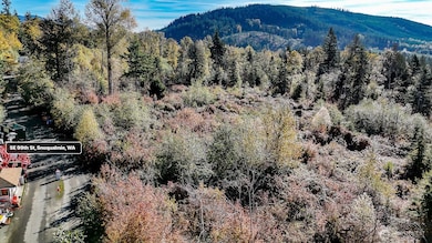 34700 SE 99th St, Snoqualmie, WA 98065 - photo 6