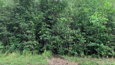 1110 Rudolph Rd, Tomball, TX 77375 - photo 4